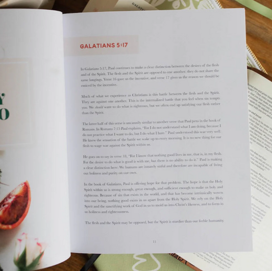 The Fruit Of The Spirit - Bible Study