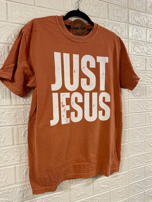 Just Jesus - Christian Shirt - Christian Apparel - Graphic Tee - Christian Gift