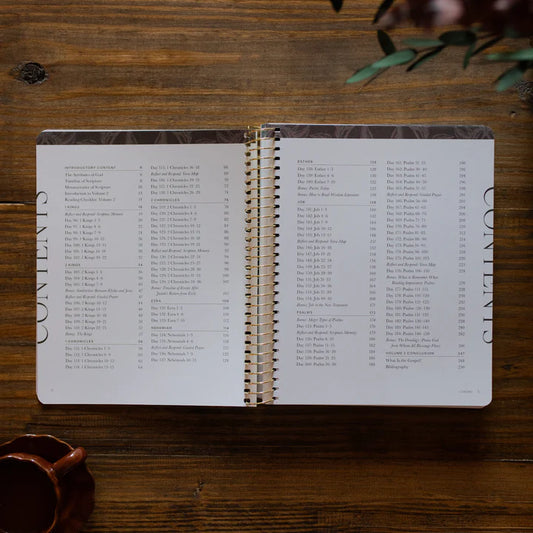 A Year in the Bible | Volume 2 - 365 Days Of Discovering The Beauty Of Jesus From Genesis To Revelation - Bible Study