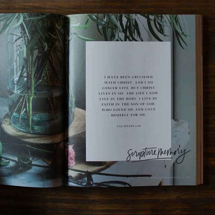 By Faith - Galatians Study - Bible Study