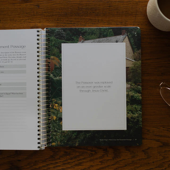 Christ In All Of Scripture - Volume 1 - Bible Study