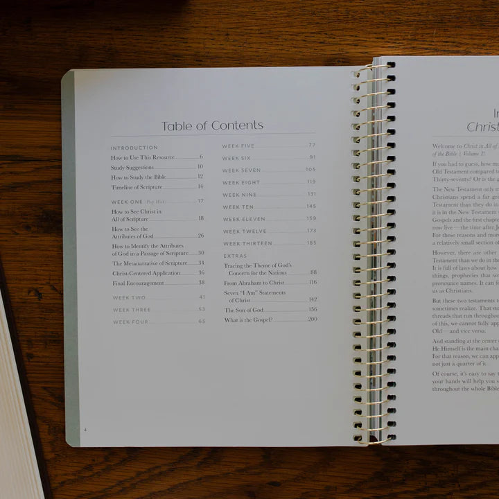 Christ In All Of Scripture - Volume 1 - Bible Study