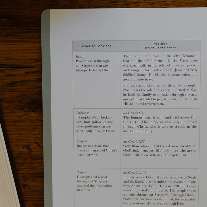 Christ In All Of Scripture - Volume 1 - Bible Study