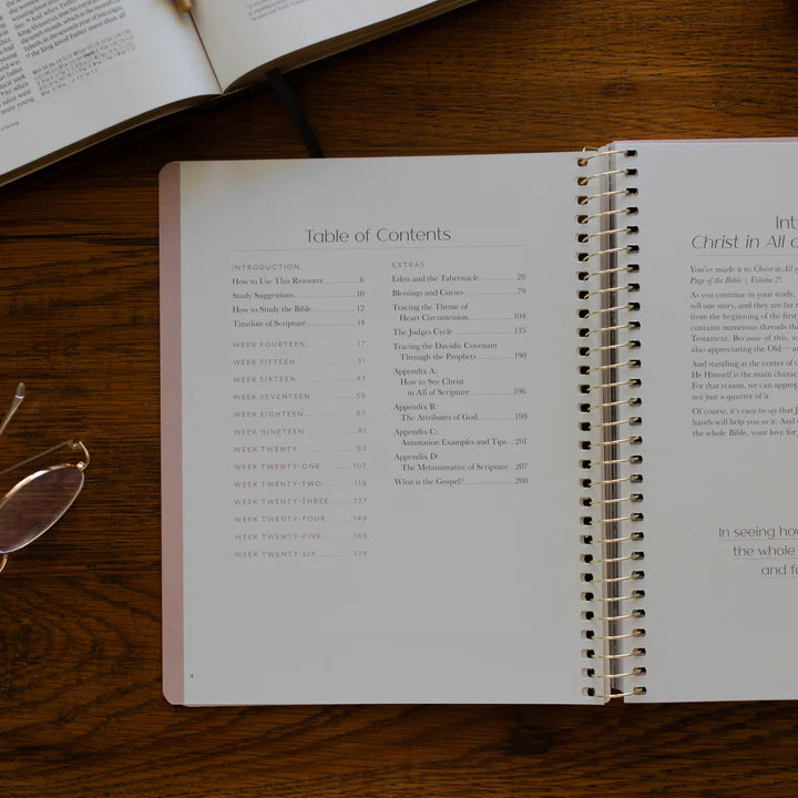 Christ In All Of Scripture - Volume 2 - Bible Study