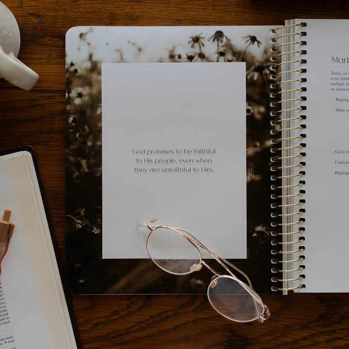 Christ In All Of Scripture - Volume 4 - Bible Study