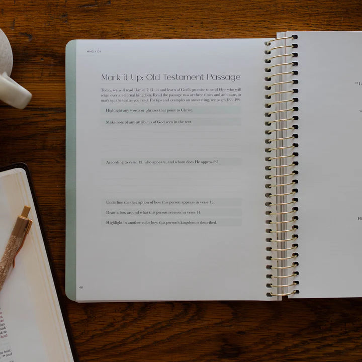 Christ In All Of Scripture - Volume 4 - Bible Study