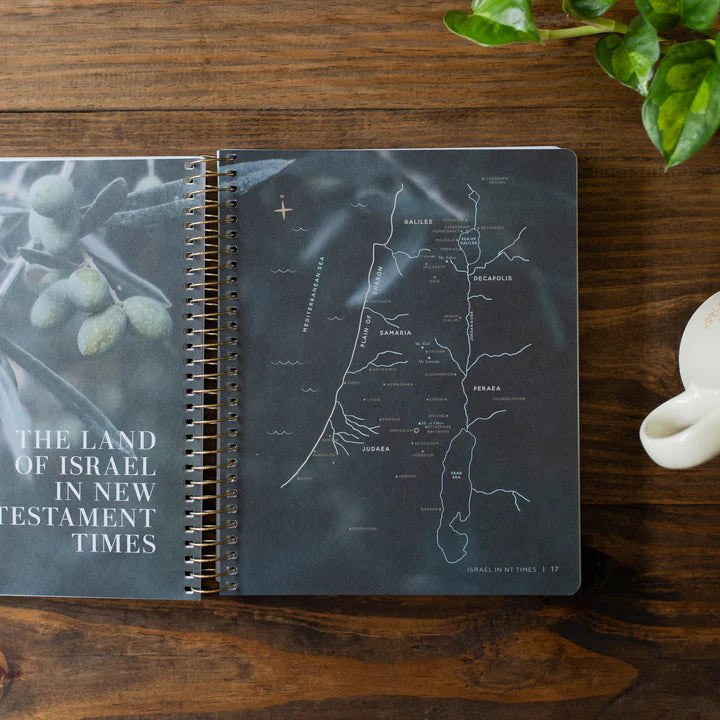 Come And See - An Invitation To Know And Trust Jesus More Than Ever Before - Bible Study On John - Bible Study