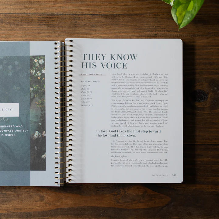 Come And See - An Invitation To Know And Trust Jesus More Than Ever Before - Bible Study On John - Bible Study