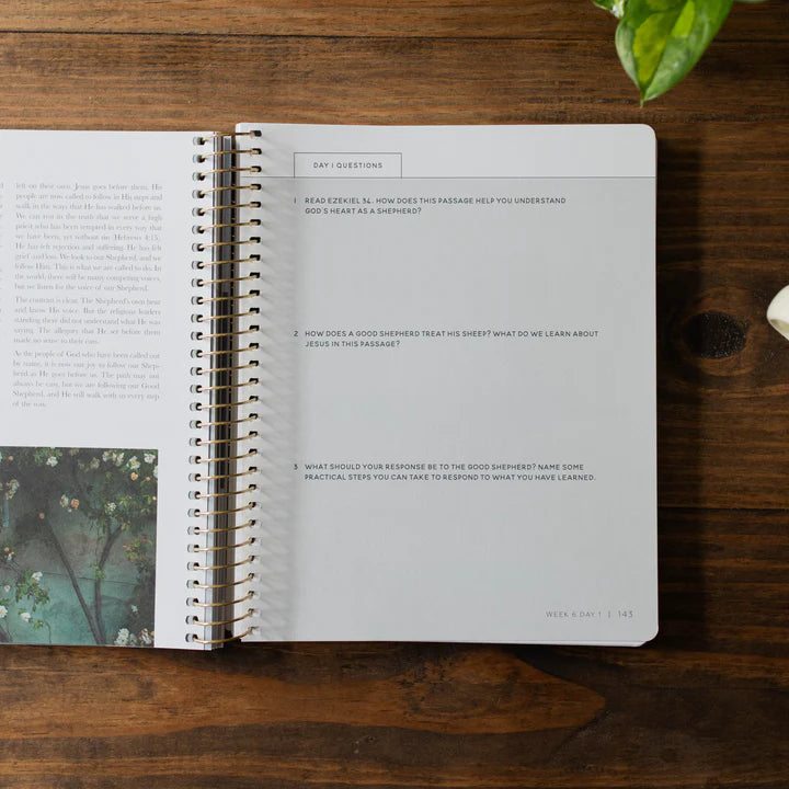 Come And See - An Invitation To Know And Trust Jesus More Than Ever Before - Bible Study On John - Bible Study