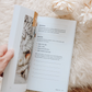 Fix Your Focus - A 52 Week Guide To Help You Put God First - Bible Study