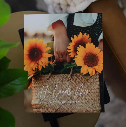 He Leads Me - Psalm 23 Study - Bible Study