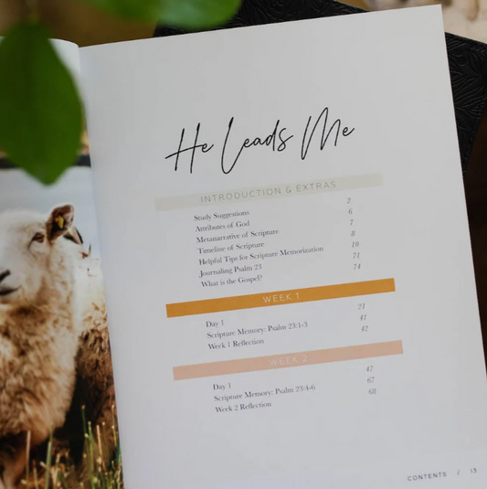 He Leads Me - Psalm 23 Study - Bible Study