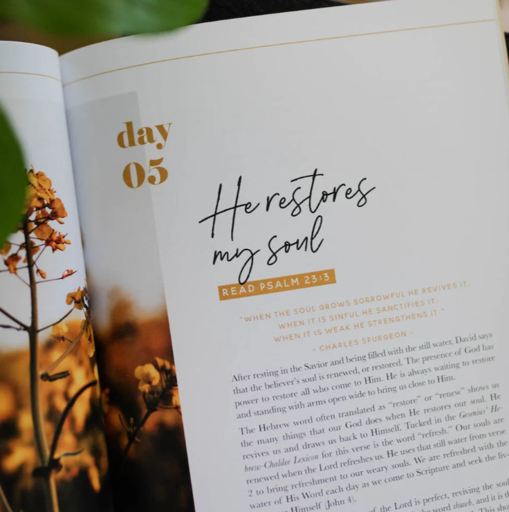 He Leads Me - Psalm 23 Study - Bible Study