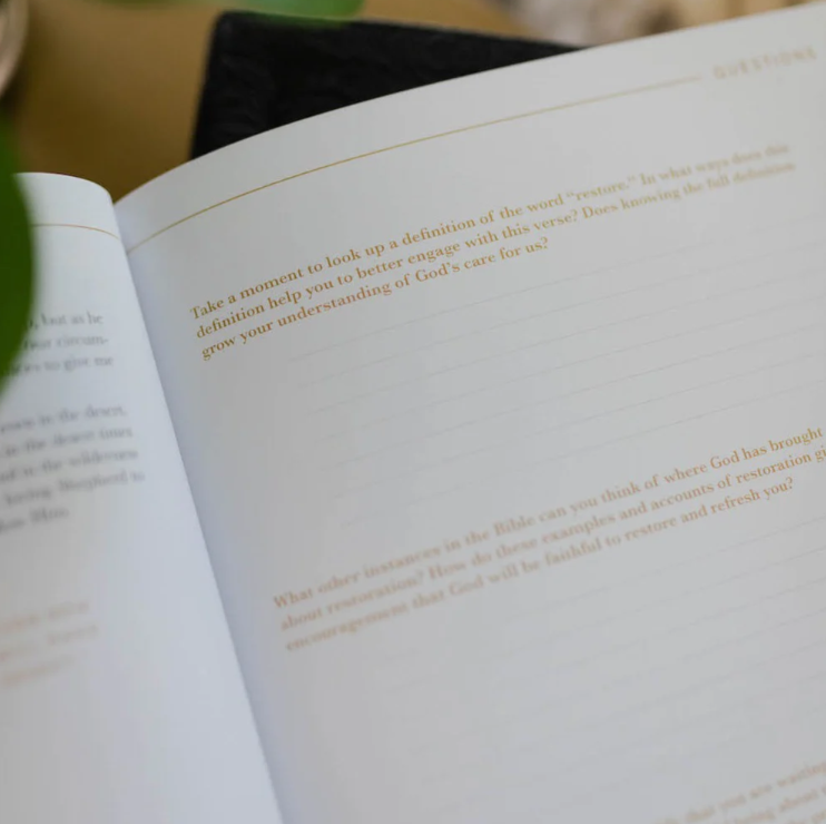 He Leads Me - Psalm 23 Study - Bible Study
