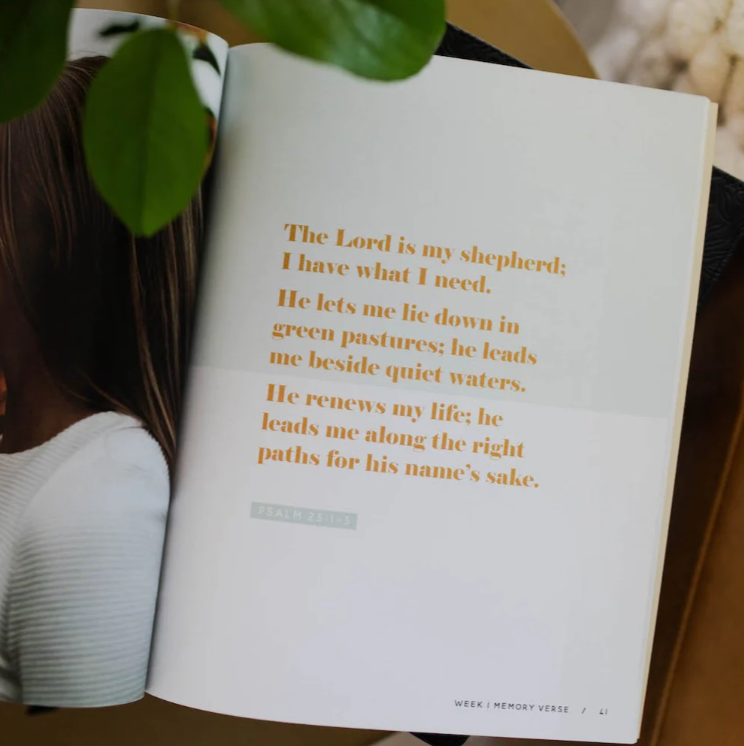 He Leads Me - Psalm 23 Study - Bible Study