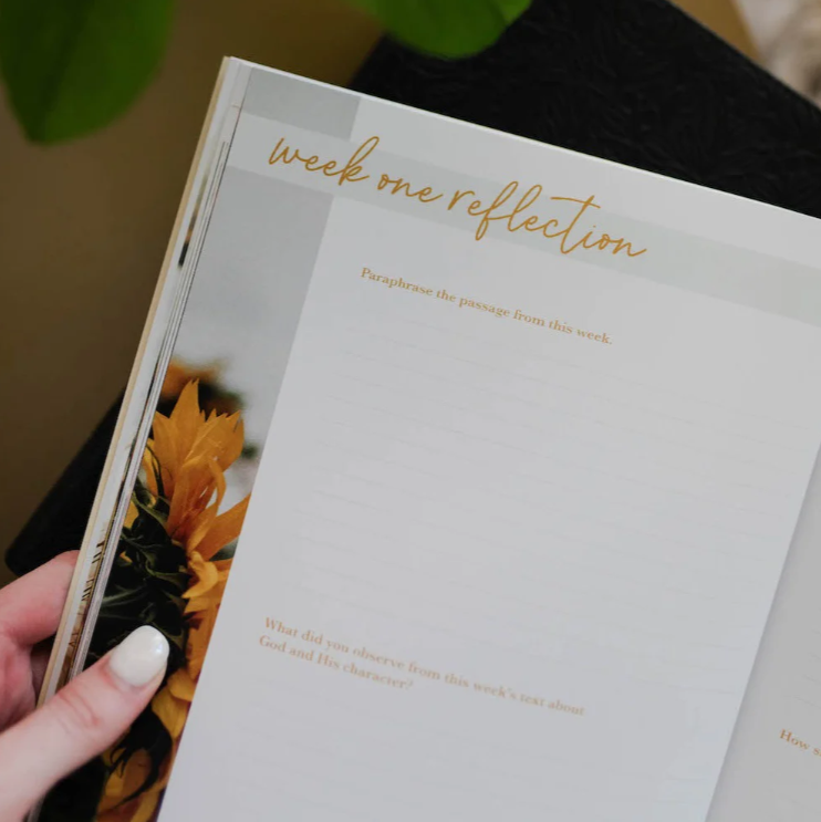 He Leads Me - Psalm 23 Study - Bible Study