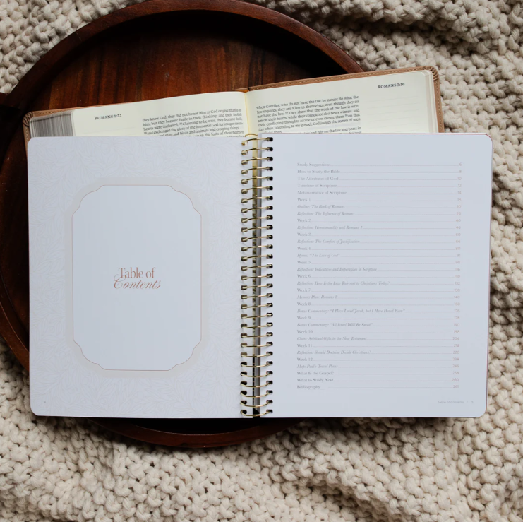 In Christ Alone - A Study On The Book Of Romans - Bible Study
