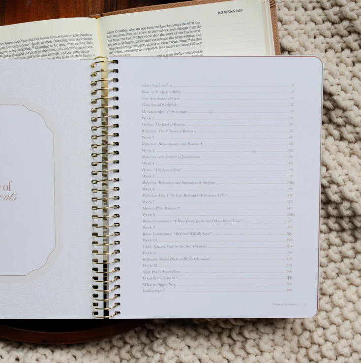 In Christ Alone - A Study On The Book Of Romans - Bible Study