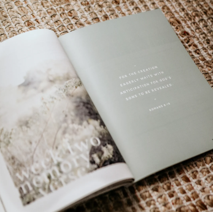 Never Alone -Depression Study - Bible Study