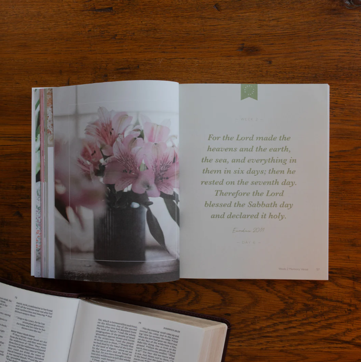 Rest - From Eden To Eternity - Bible Study