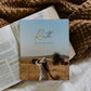 Ruth Study - Fields Of Grace - Bible Study