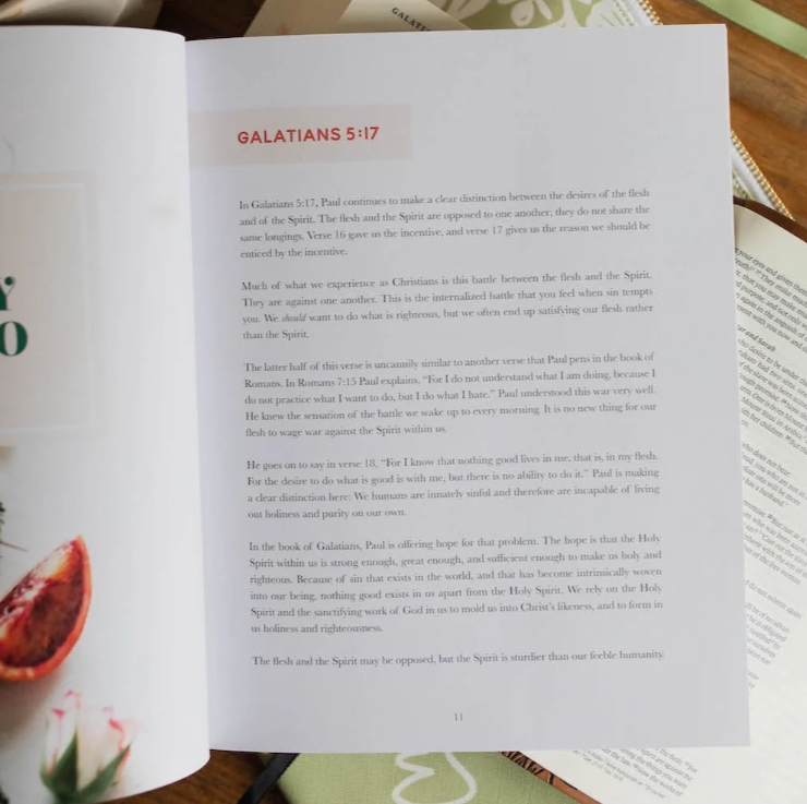The Fruit Of The Spirit - Bible Study