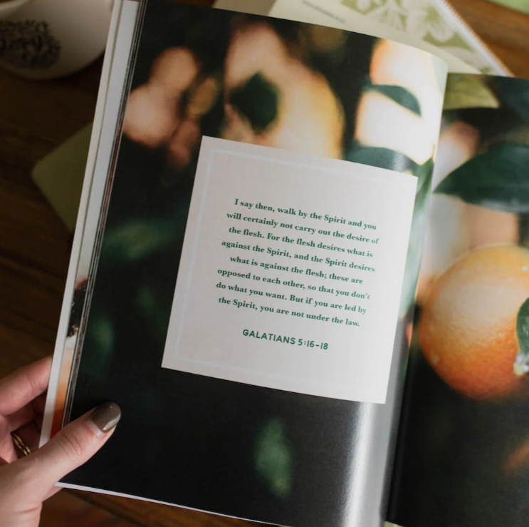 The Fruit Of The Spirit - Bible Study