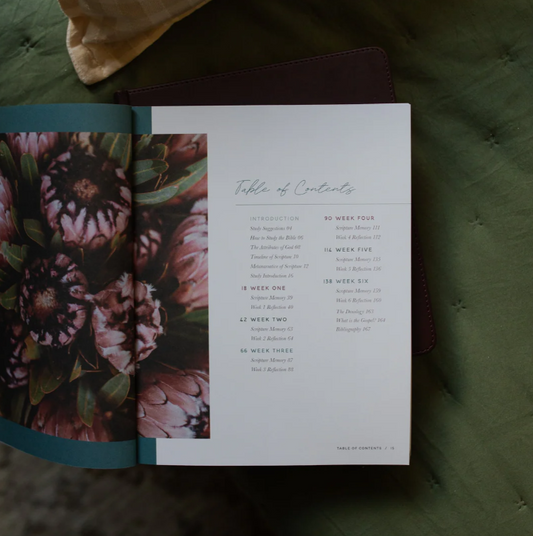 Trust - Psalms 121-150 - Bible Study