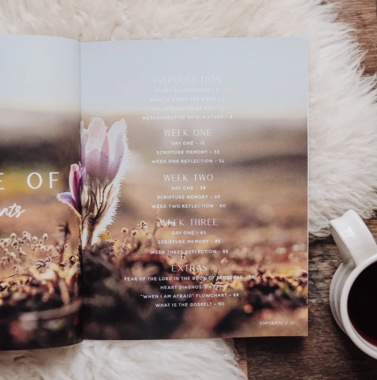 When Fear Meets Faith - Bible Study
