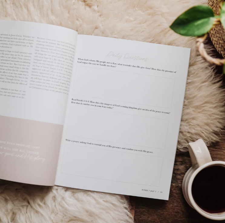 When Fear Meets Faith - Bible Study
