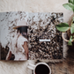 When Fear Meets Faith - Bible Study