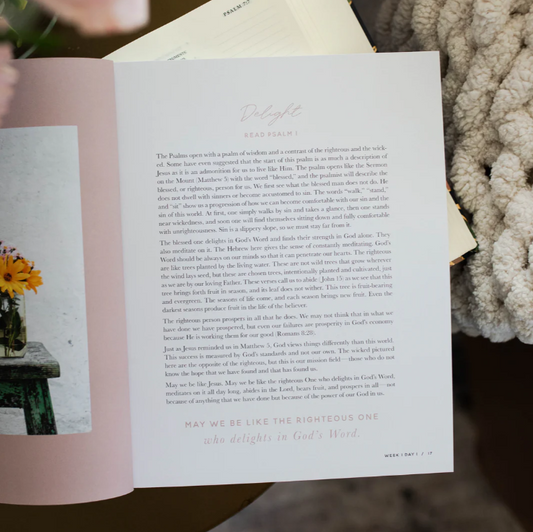 Delight - Psalms 1-30 - Bible Study