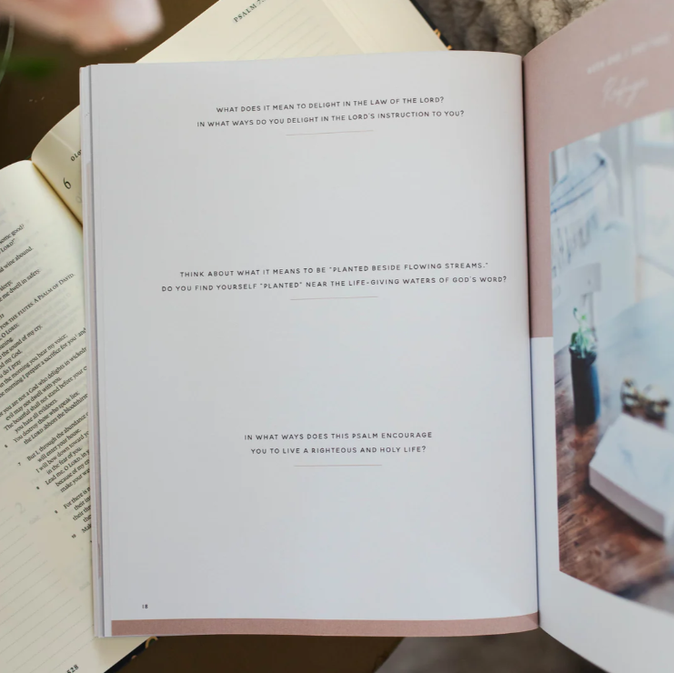 Delight - Psalms 1-30 - Bible Study