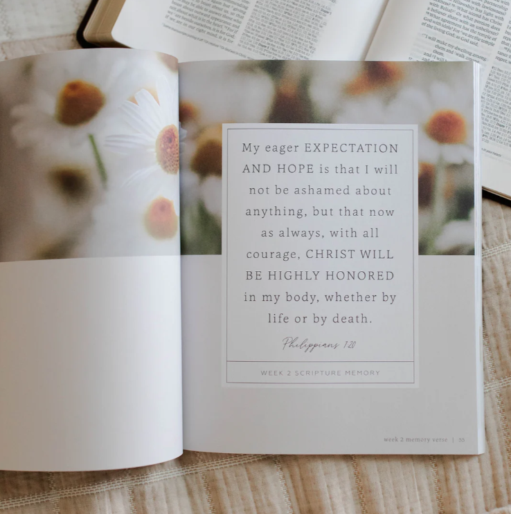 More Than Anything - Bible Study on Idolatry - Bible Study