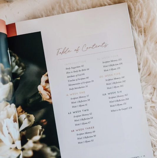 Praise Bible Study - Psalms 91-120 - Bible Study