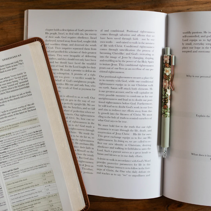 Stand Firm - Armor of God Bible Study - Bible Study