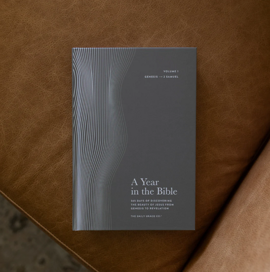 A Year in the Bible - Mens Hardcover Study - Volume 1 - Bible Study