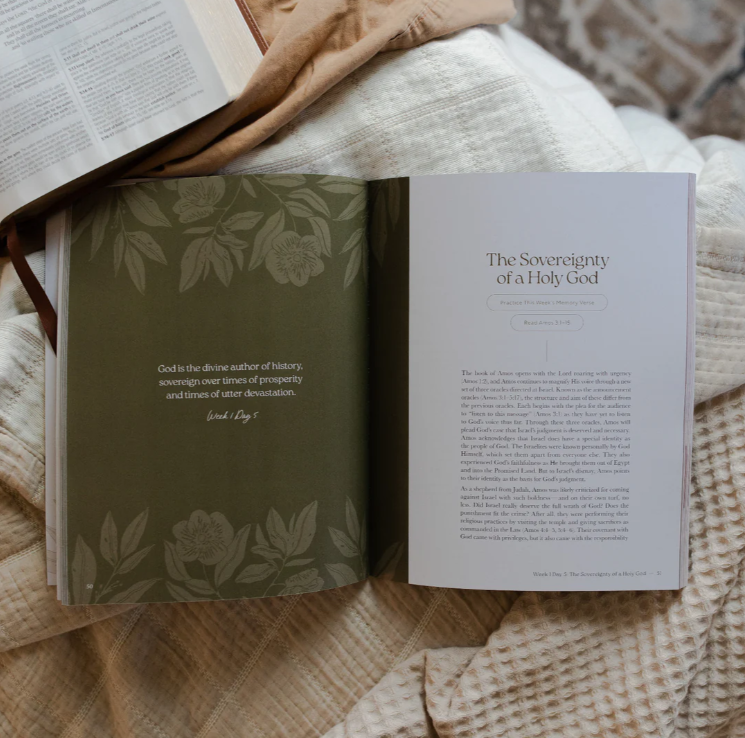 Never Too Far Gone - Amos Bible Study - Bible Study