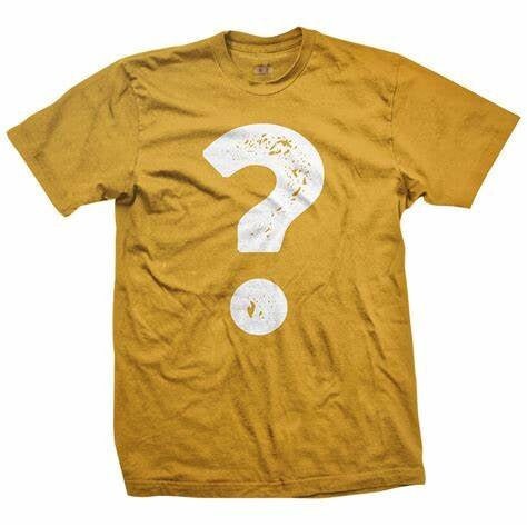 Christian Tee - MYSTERY TEES - Christian Apparel - Graphic Tees - Jesus Tee - Christian Gift - Bleached Tees