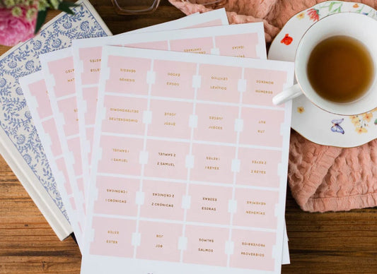 Christian Bible Tabs - Spanish Blush Bible Tabs - Matte Bible Tabs - Christian Gift - Bible Accessories - Spanish Bible Tabs