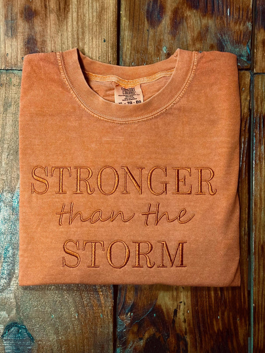Stronger Than The Storm Embroidered Shirt, Embroidered Pullover, Christian Tee, Embroidered Shirt, Christian Sweatshirt, Christian Gift